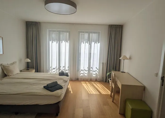 Spacious Room In Modern Central Apartment