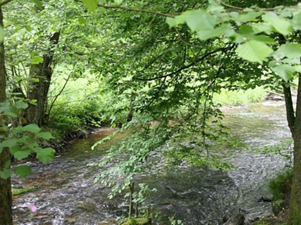 Spacious Chalet With Sauna In Daverdisse Alpehytte *