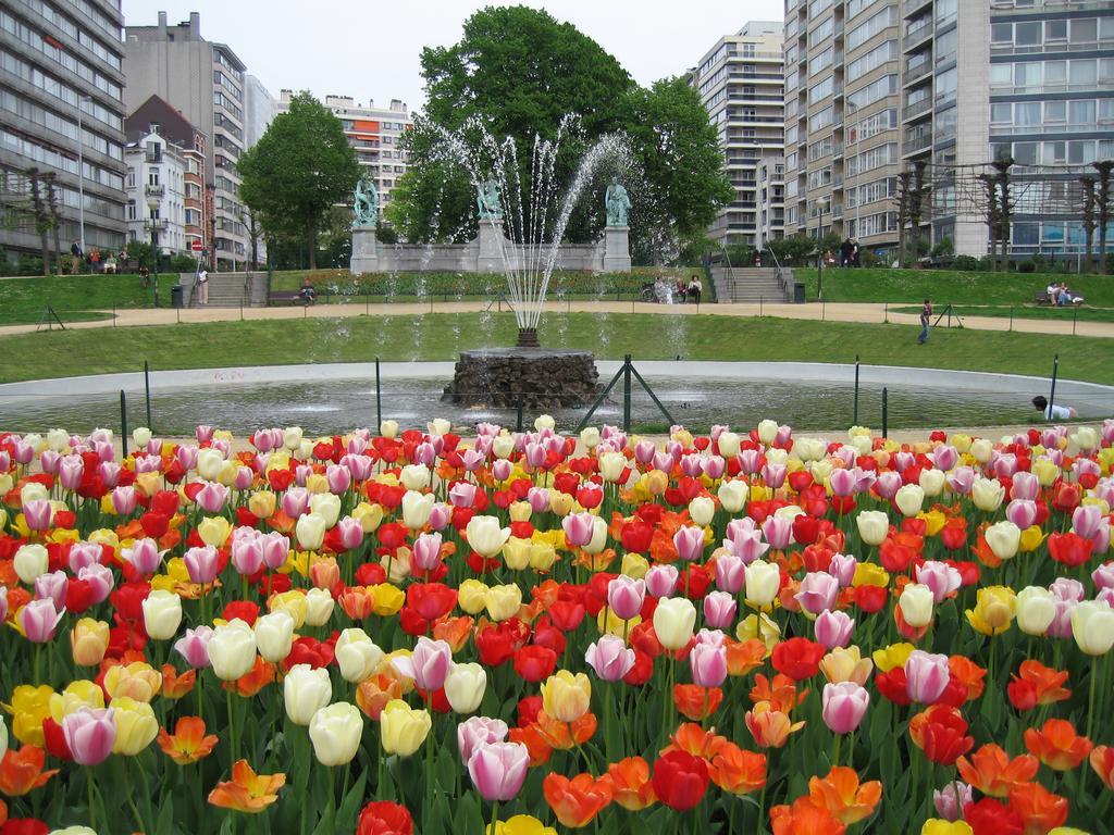 Hotel First Euroflat 4*
