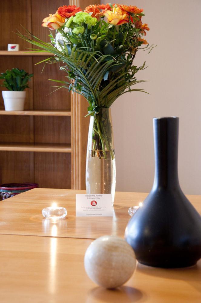 Apartment Gardens