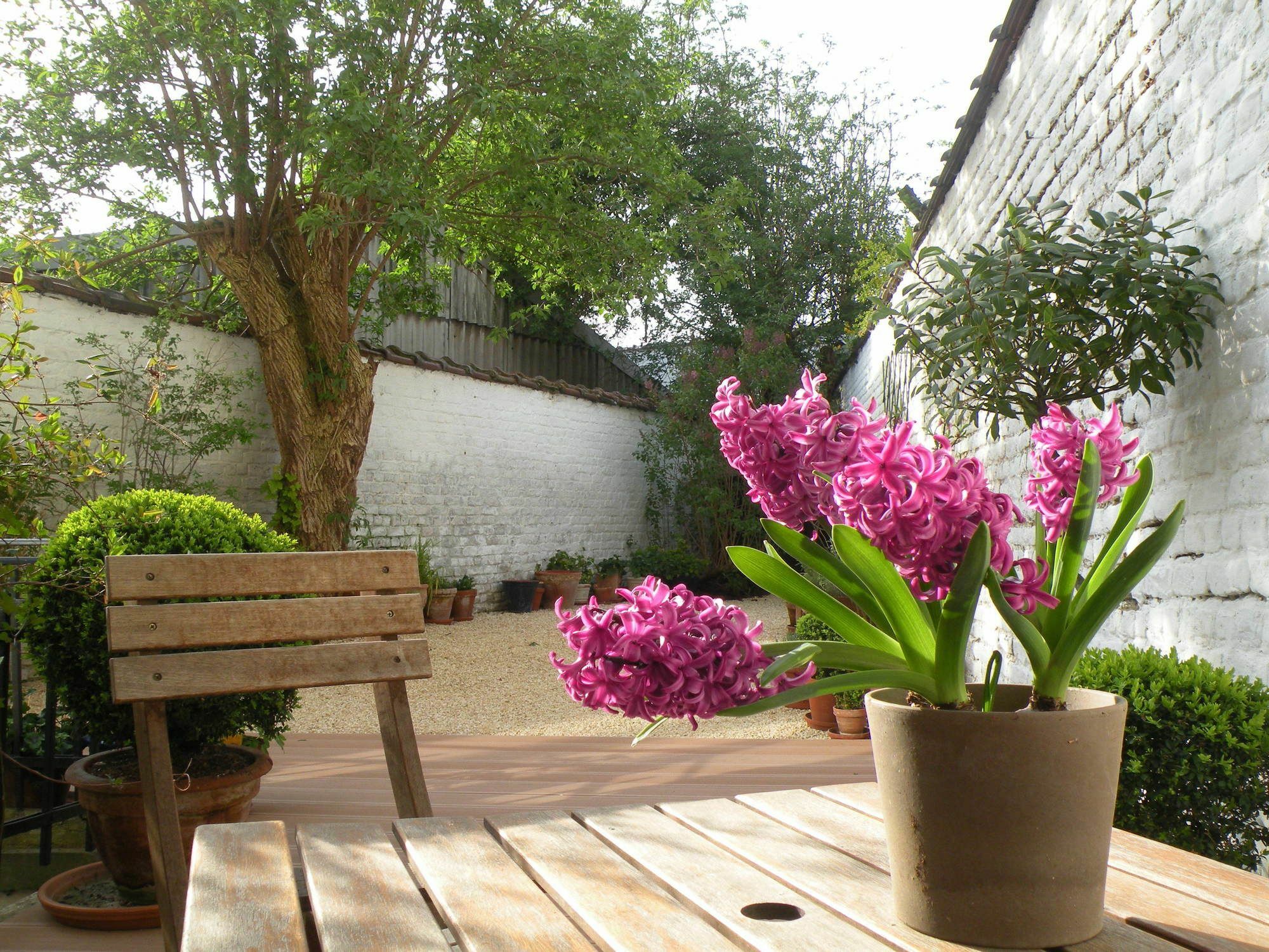 Bed & Breakfast Living In Brusel, Urban 5*