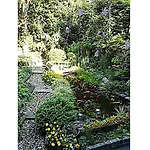 B&B D&F Suites Brussels