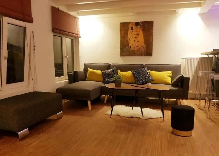 Beautiful Duplex In The Center Of Brussels