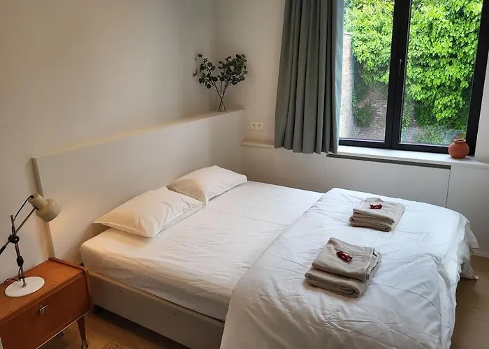 Comfortable Flat Close To Flagey