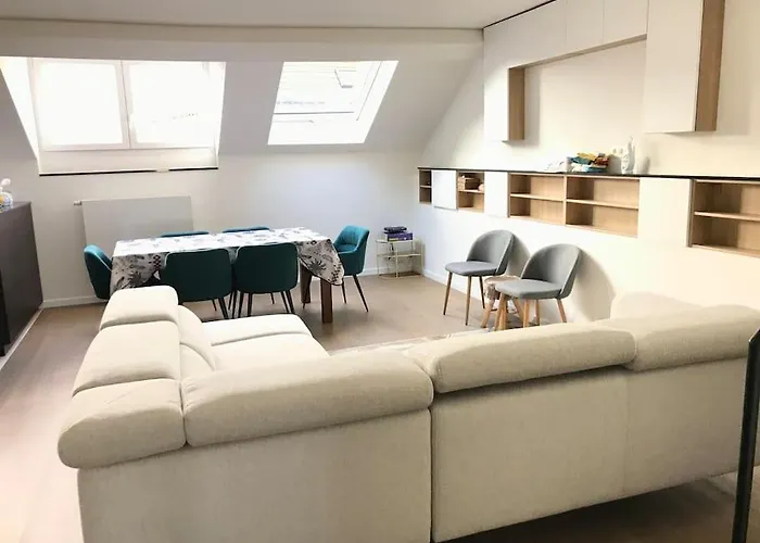 Duplex Avec Terrasse Quartier Europeen