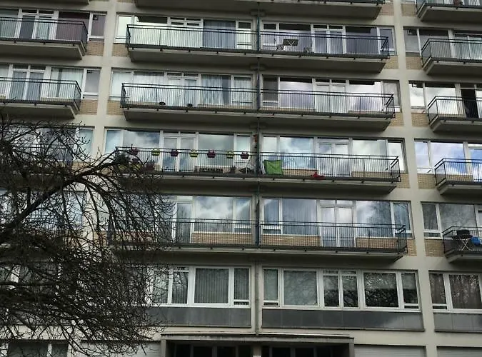 Residence Wahis, Nr 12