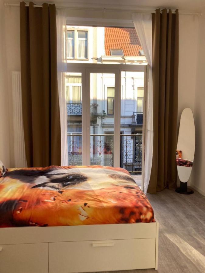 Dreamland Eu, Brussel
