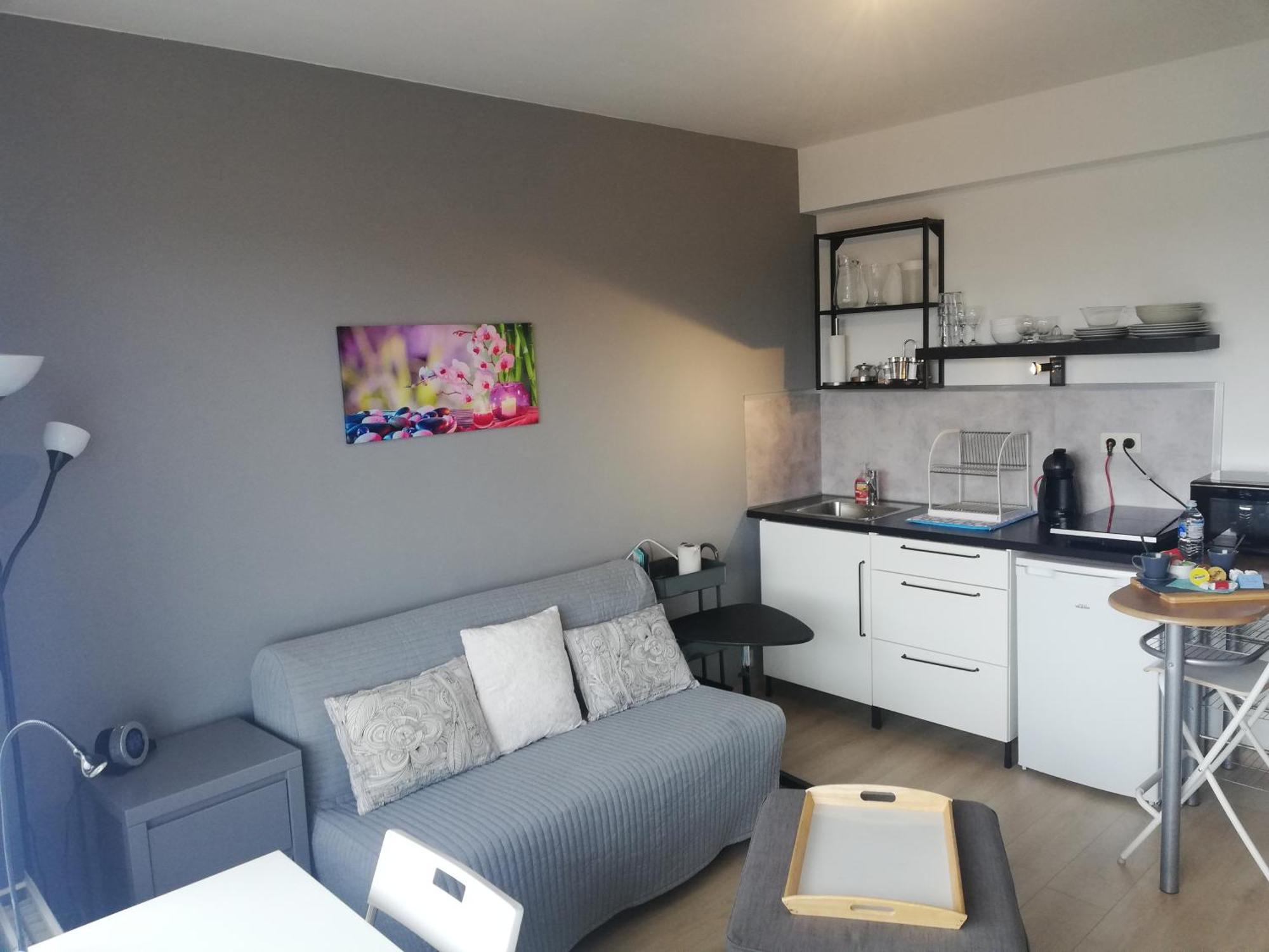 Studio Equipe, Salle De Bain Privee, Proche Centre Ville *