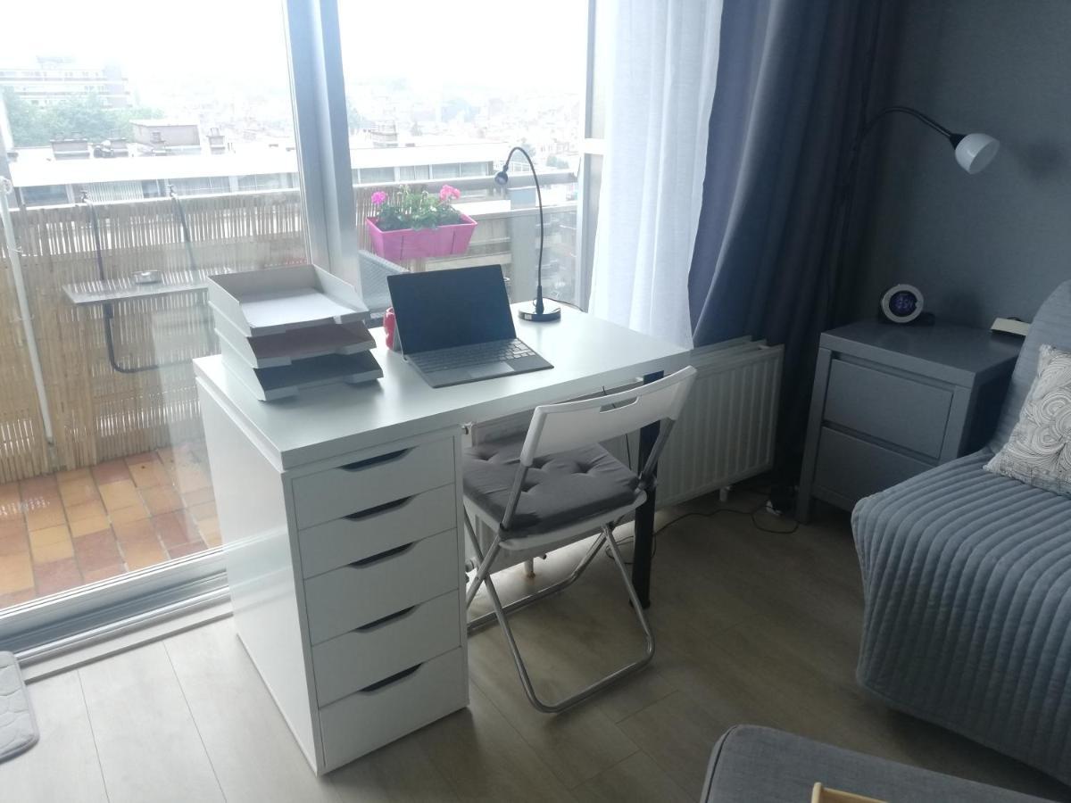 Studio Equipe, Salle De Bain Privee, Proche Centre Ville