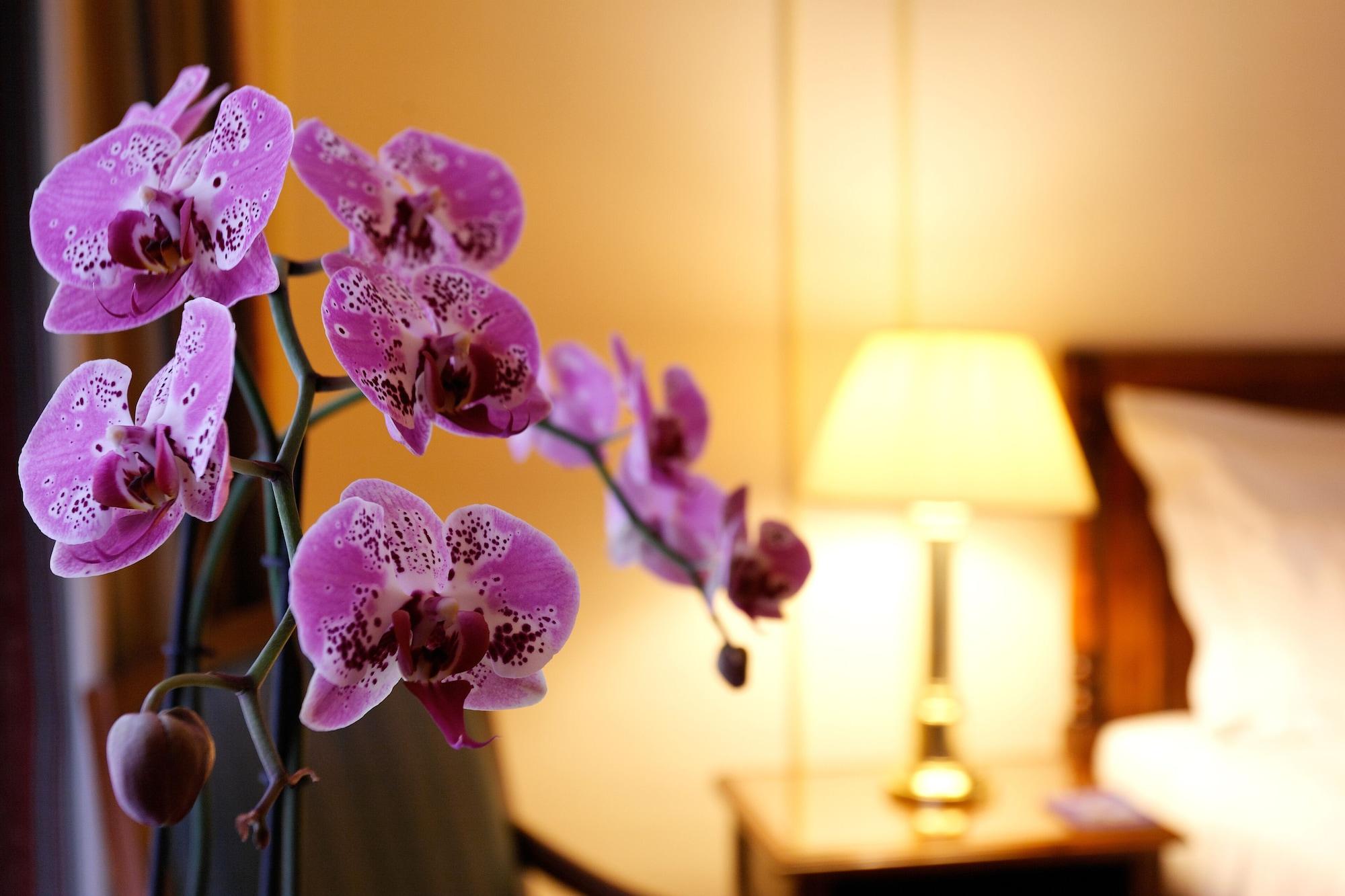 Hotel Le Plaza Bruxelles
