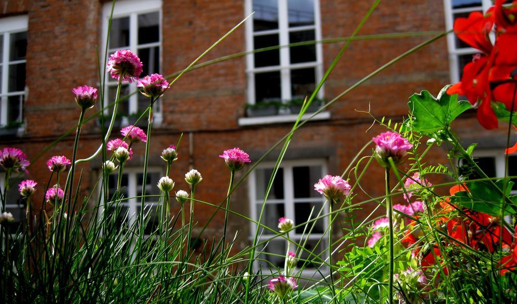 Bed & Breakfast Lit De Senne