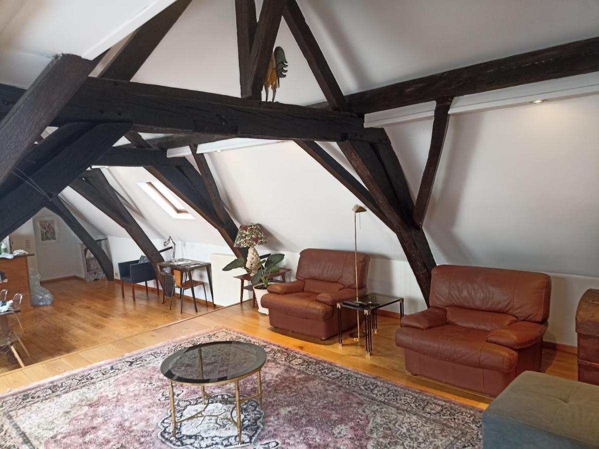 Spacious Duplex In Historical Center Apartment Brussels