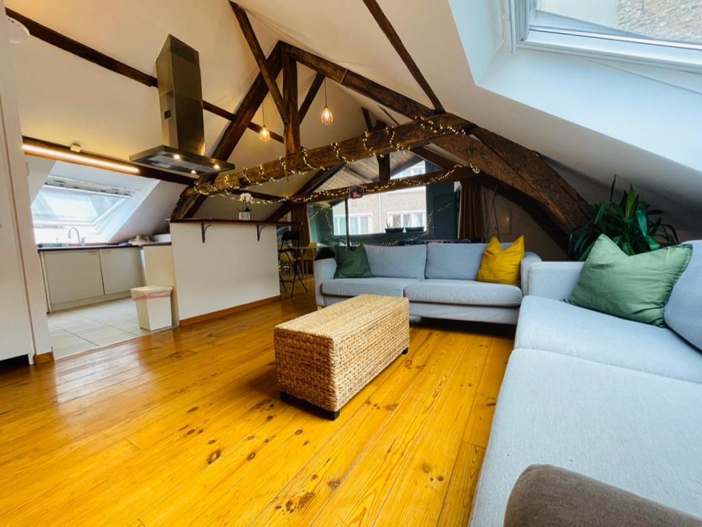 Down Town Spacious Loft With Private Parking * Brussel