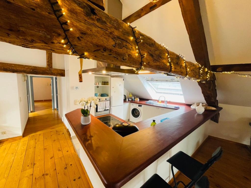 Appartement Down Town Spacious Loft With Private Parking *