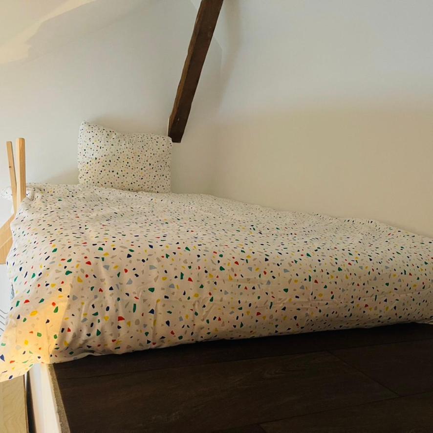 Down Town Spacious Loft With Private Parking Brussel
