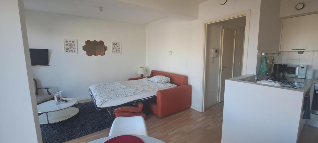 Brusilia Parc Apartment *