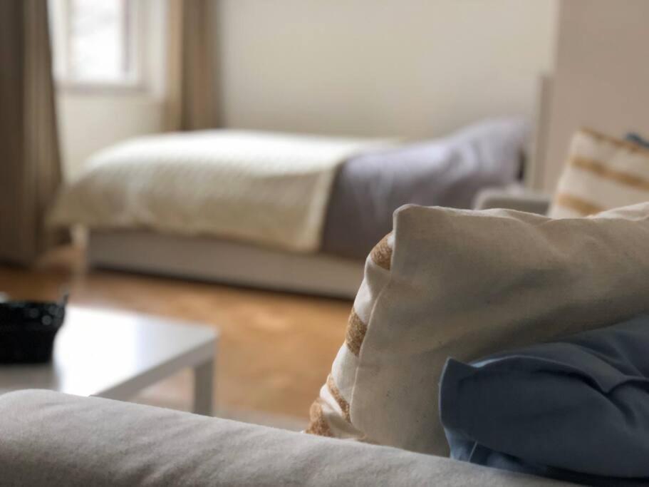 Superbe Studio Lumineux Au Coeur De Quartier Europeen Appartamento Bruxelles