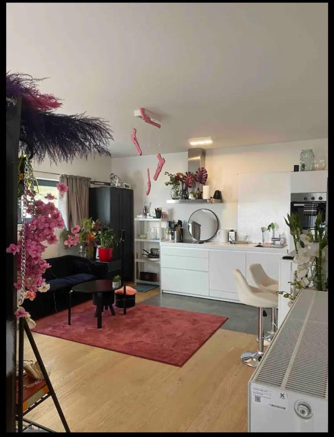 Studio De Charme Bruxelles