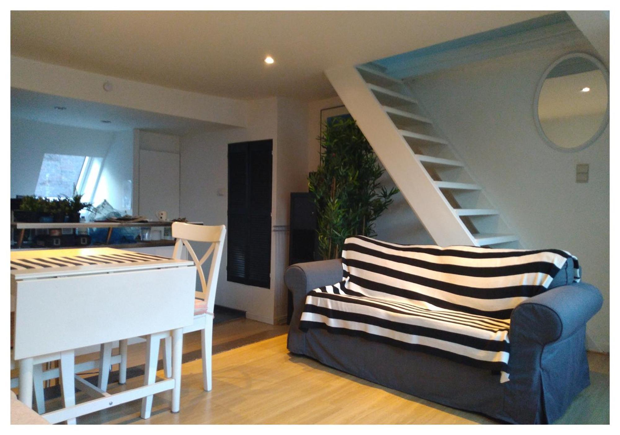 Apartment Zolo *