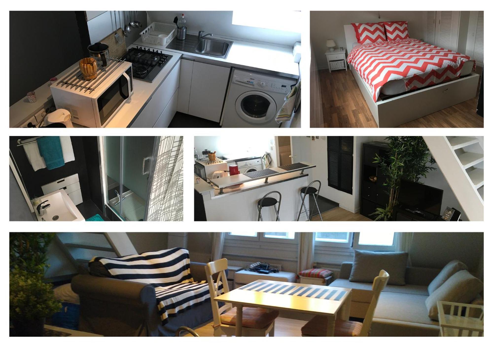 Apartment Zolo
