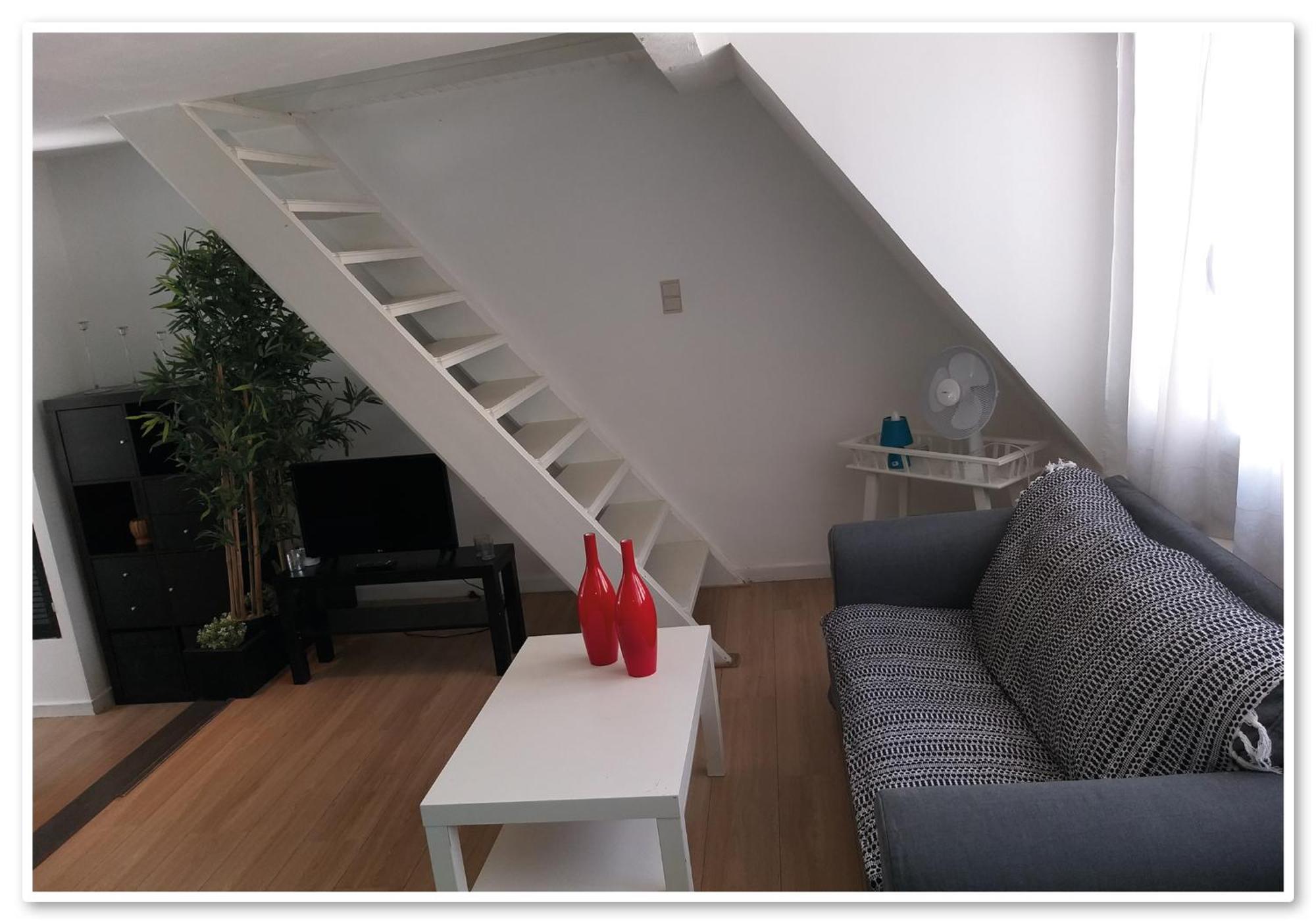Apartment Zolo *