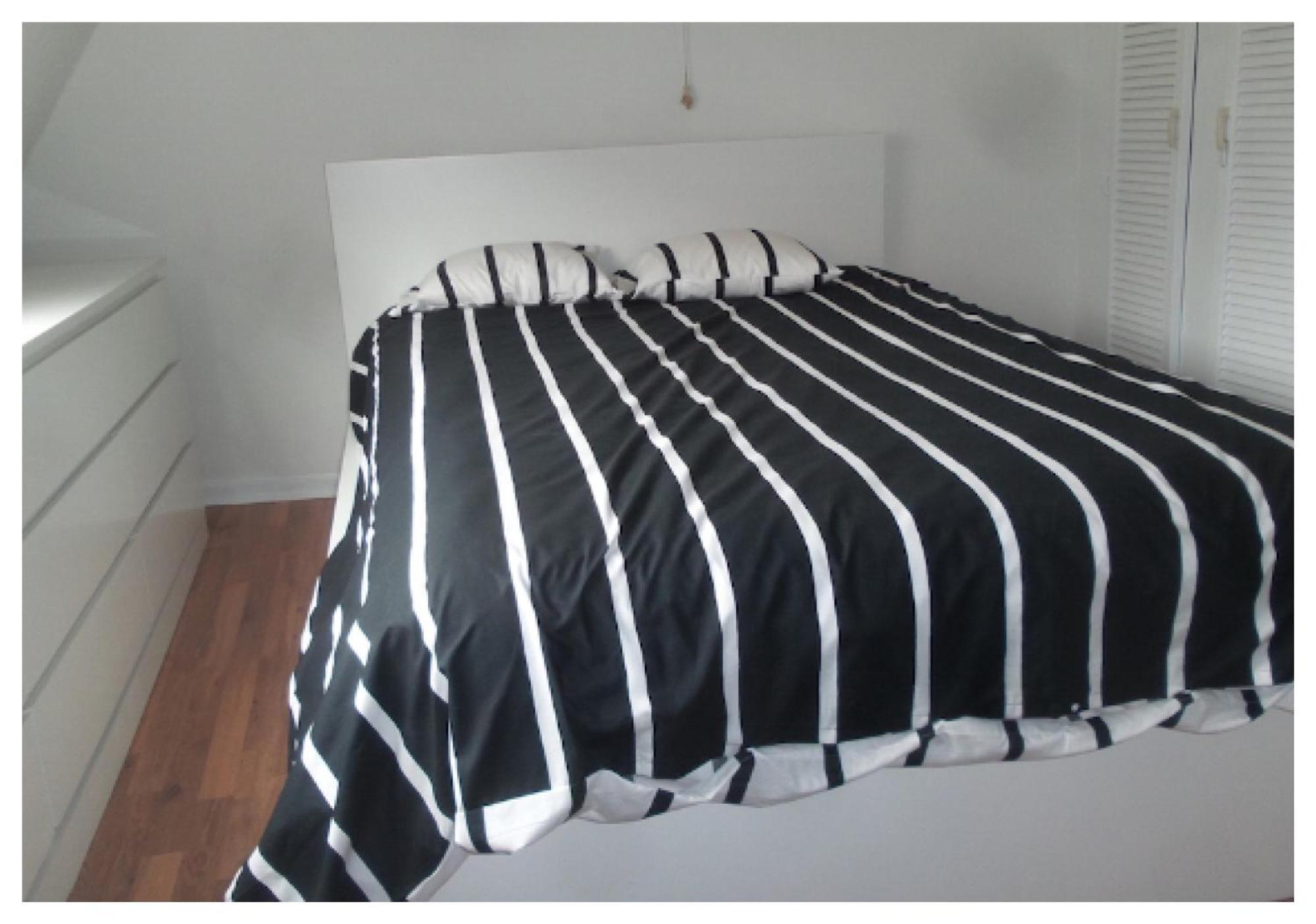Apartment Zolo