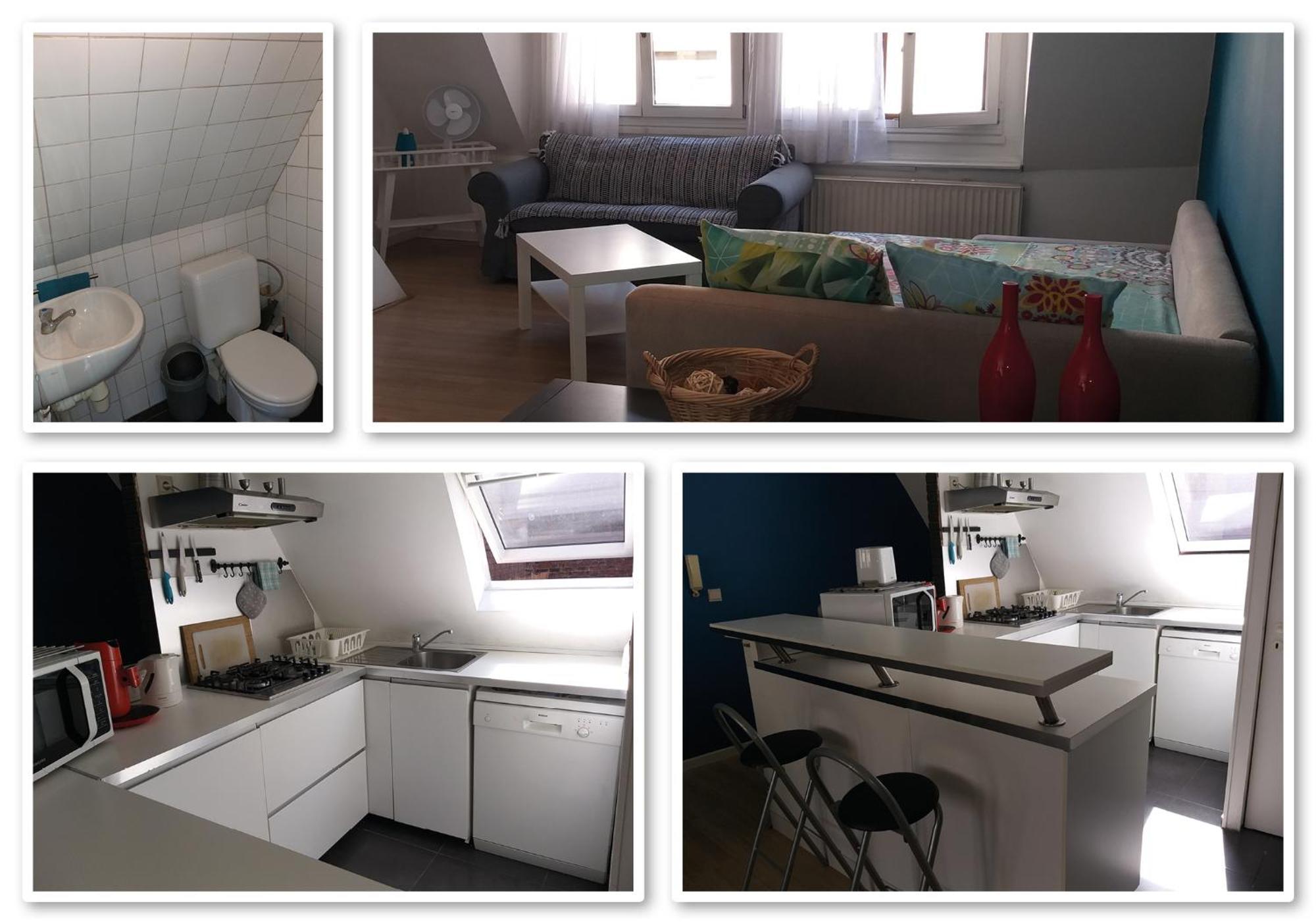 Apartment Zolo