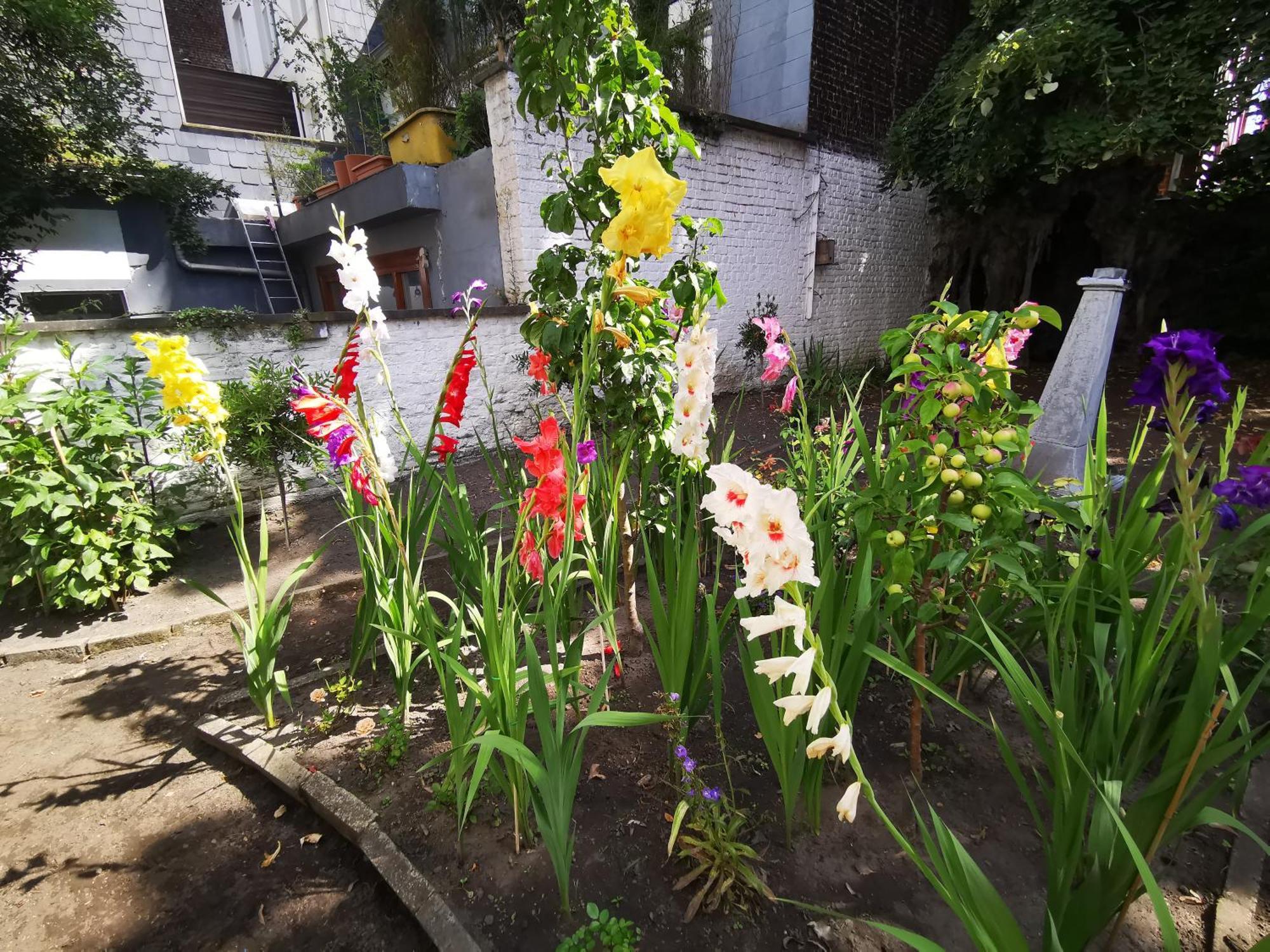Maison Jamaer Bed & Breakfast Brussel
