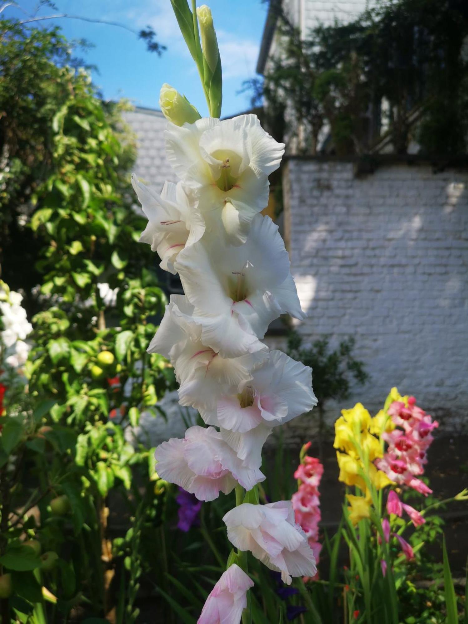 Bed & Breakfast Maison Jamaer Brussel