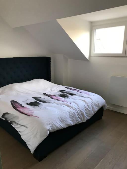 Duplex Avec Terrasse Quartier Europeen