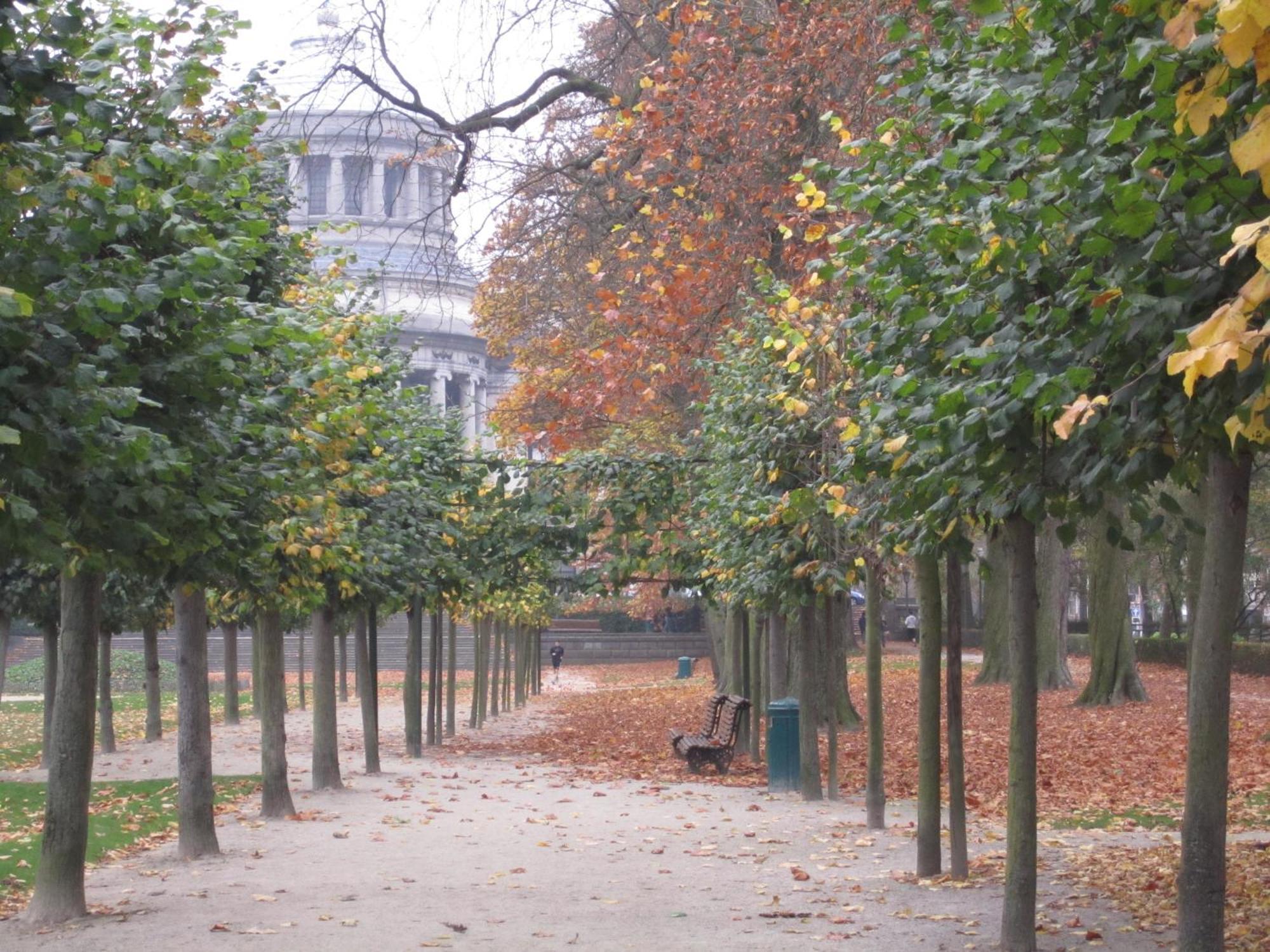 A Cote Du Cinquantenaire Brüssel