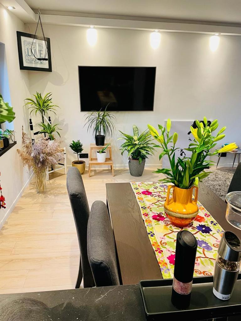 Town House With Garden - 1 With Shared Bathroom Homestay Brussels