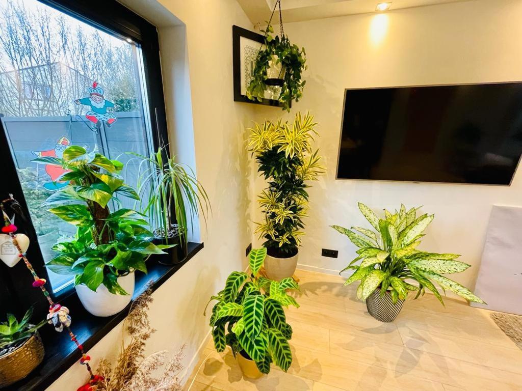 Homestay Town House With Garden - 1 With Shared Bathroom