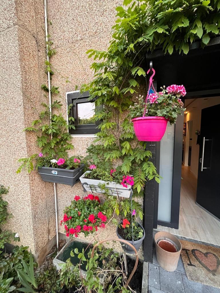 Town House With Garden - 1 With Shared Bathroom Homestay Brussels