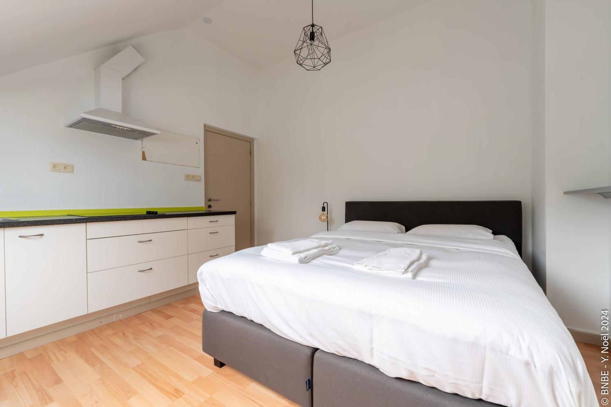 La Louve - Big Place & Garden - Parking Gratuit Villa Brussel