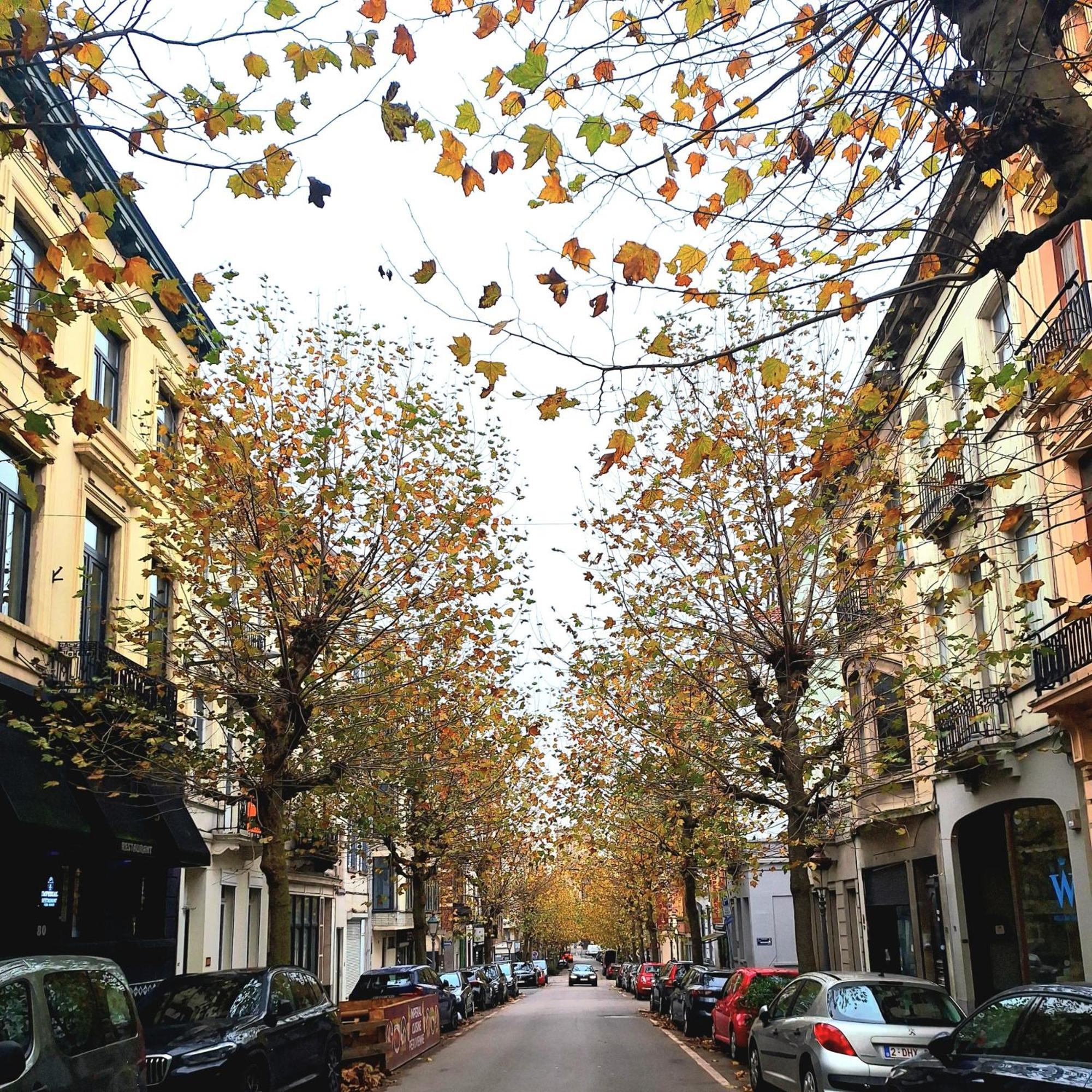 Le Duplex-suite Josephine Bruxelles