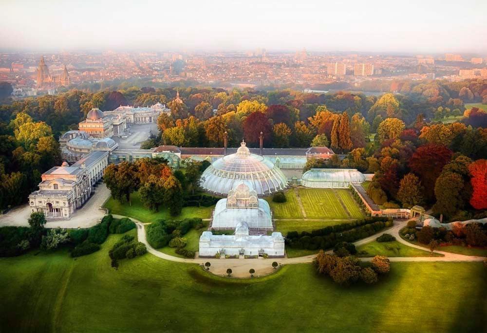 Lejlighed Cozy And Luxurious In Brussels, Laeken