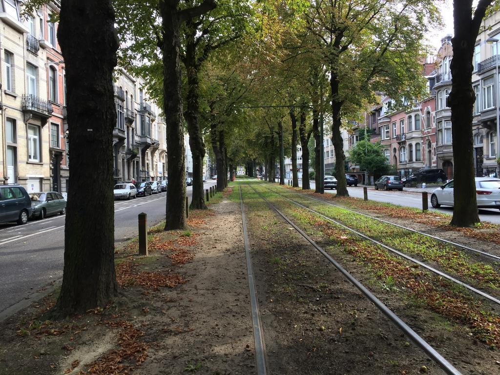 Molière Brüssel