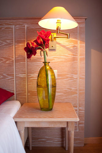 Lejlighedshotel Axl Flathotel Continental 3*