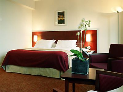 Mercure Airport 3*