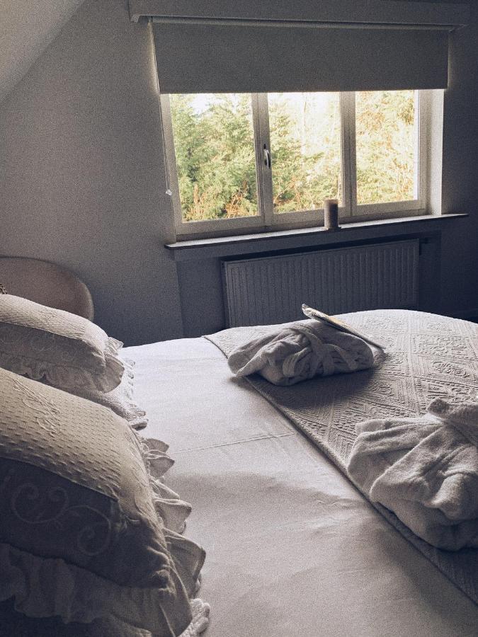 Le 36 Bed & Breakfast Brussel