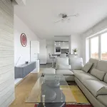 Nice Studio With Big Terrace
