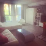 Bright Appartement In Brussels