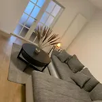 Central Appartment Lux