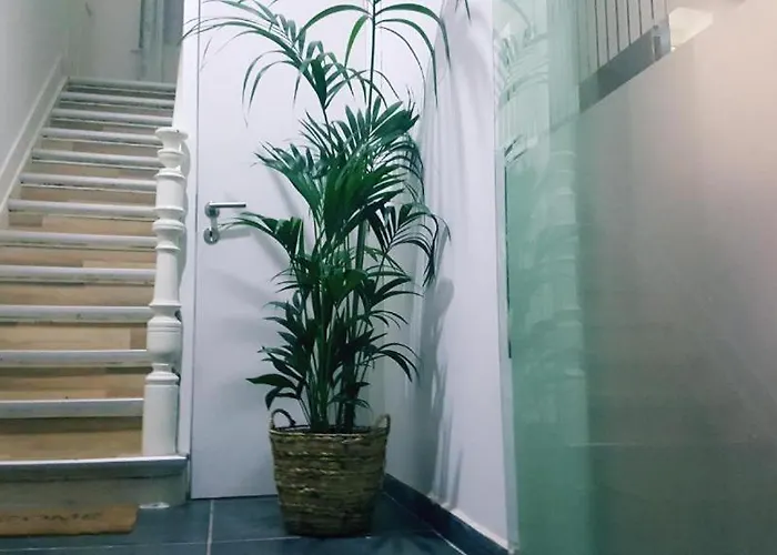 Cozy Rooms With Share The Bathroom And Kitchen