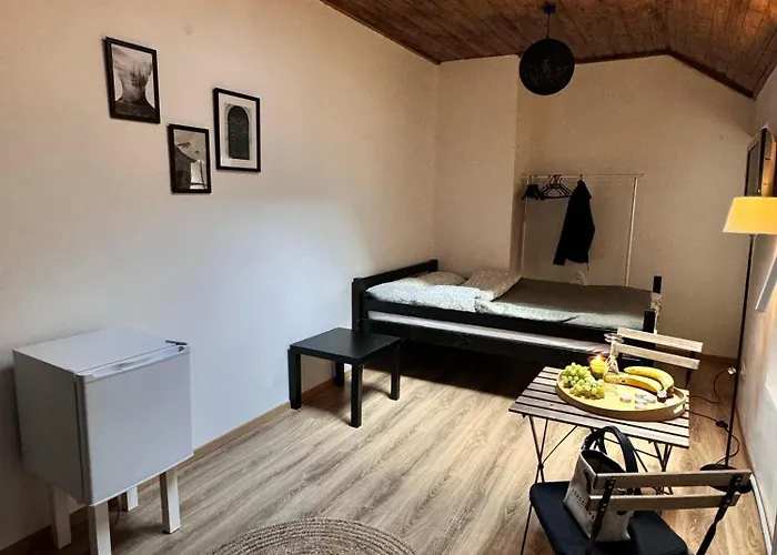 Studio N3 Bruxelles Centre Ville