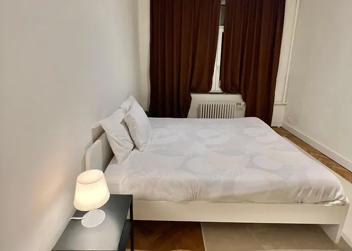 Grand Appartement Luxueux A Bruxelles Centre
