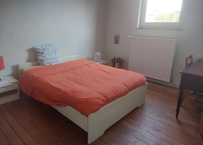 Brussels Guesthouse - Private Bedroom And Bathroom