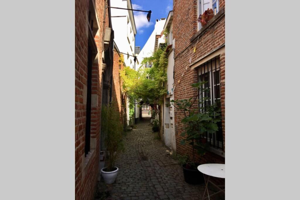 En Plein Coeur De Bruxelles. Superbe Duplex.a Voir!