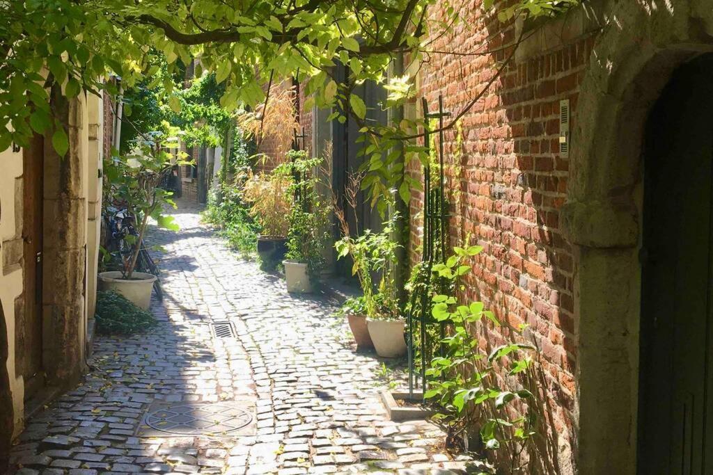 Appartement En Plein Coeur De Bruxelles. Superbe Duplex.a Voir! Brussel